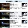 FCL 35 W D2R Interchangeable with Official Components HID Bulbs, model: FD2R-X-350206V