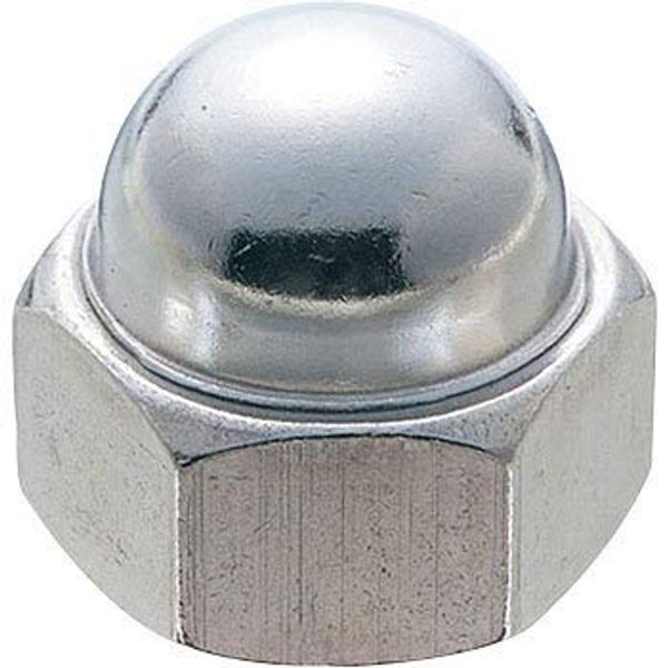 Tool mania SUS Stainless 5/16 Bag Nut, 1 Piece