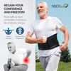 NeoTech Care Adjustable Double Pull Lumbar Brace/Lower Back Belt (Black, Size S)