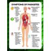 All Natural herbal outbreak support  - Made in USA
