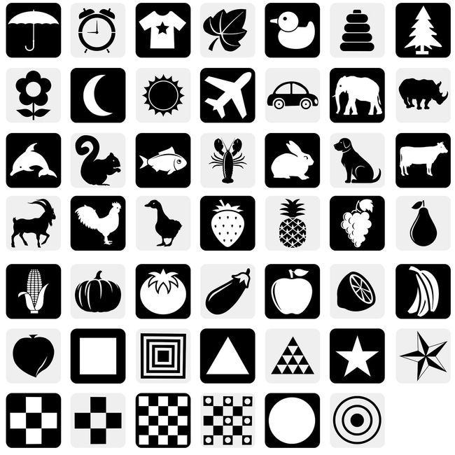 48 Pictures Black and White Baby Flash Cards Sensory Toys High Contrast Baby Sensory Cards Visual Stimulation Cards for 0-6 Months Newborn Baby(24pcs)