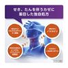 【指定第2類医薬品】ルルアタックCX 12錠