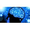 brain booster pills - Asparagus Extract 600mg - improve mood supplement 3B