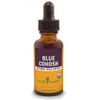 Blue Cohosh Extract 1 Oz By Herb Pharm