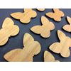 Blank Wood Shapes for Drop Box (Butterfly)