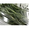 Osaka Domestic Herbs Rosemary, 1 Pack