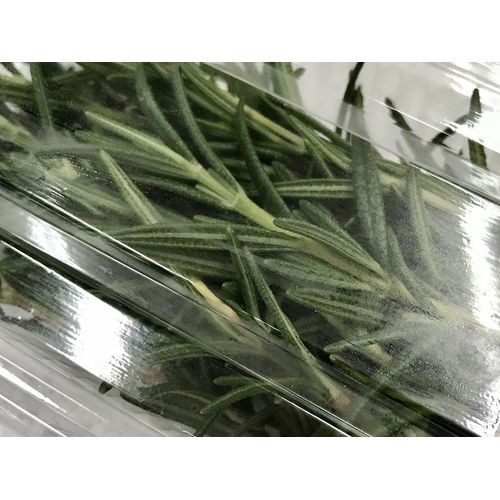 Osaka Domestic Herbs Rosemary, 1 Pack