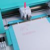LOKLIK SG-KZJPJ-0001-US-L-B2B Stift, Einheitsgröße