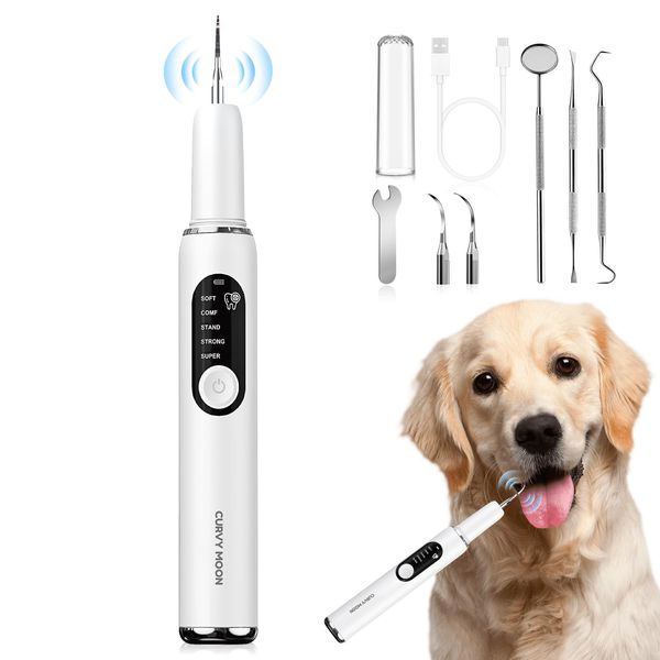 SylvanSparkKitchen Dog Plaque and Tartar Remover Plaque Remover for Teeth with Led Light 5 Adjustable Modes Electric Toothbrush Teeth Cleaning Kit for Dog and Cat