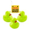 Fun Express You’ve Been Ducked Big Ear Ducks Kit for 12