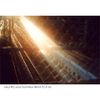 NiSi Allure Soft Filter 77mm