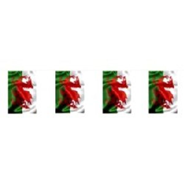 Novelties Direct Wales Flag Bunting Rectangular Flags 9m long 32 flags Polyester