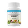 Eclectic Burdock Cog FDV, 90 Count
