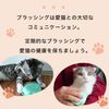 Tangle Teaser Pet Teaser Cat Friendly Mint