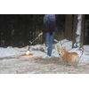 Propane Torch Weed Burner Kit with Battery Electric Pulse Ignition Flame Thrower