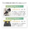 WAVEWAVE Lumbar Belt, Pelvic Belt, Lower Back Support