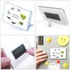 Classic Rectangle Magnet with Stand - Life Cycle Frog - Fridge Locker Office Whiteboard Toolbox #60898
