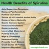 spirulina capsules - Blue Green Algae 500mg - lower bad cholesterol 1B