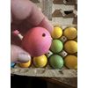 6 Hand Blown Easter Eggs - Dyed