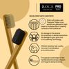 Toothbrush R.O.C.S. PRO Gold