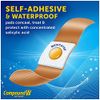Compound W Maximum Strength One Step Wart Remover Pads | 14 Count | Pack of 3