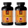 Echinacea Root Herbal Extract - Immune System Supplement - 2 Bottles