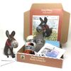 Dinky Donkey Needle Felting Kit