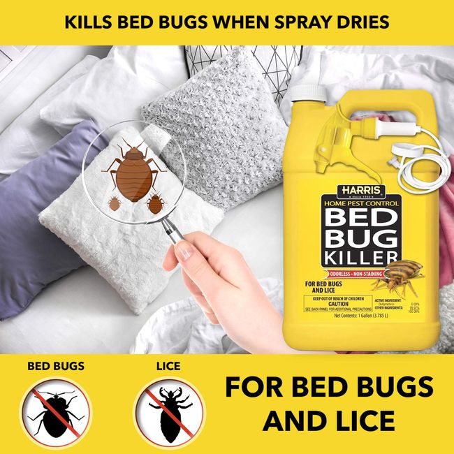 HARRIS Bed Bug Killer, Liquid Spray with Odorless and Non-Staining Formula (Gallon)