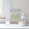 House Gida DWS-465 Wall Sticker Deodorant Antibacterial Lavender