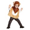 PARTY DISCOUNT Lion Toddler Cape up to Size 104 cm