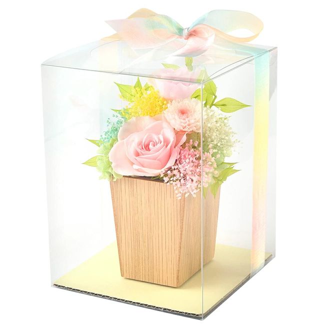 FUN Preserved Flower Flower Rainbow Flower Mini Present Case & Rainbow Ribbon (Pink)