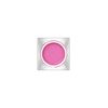 Lunasol EX02 Glam Wink Luminous Pink Eyeshadow