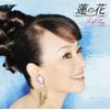 GOLDEN☆BEST ジュディ・オング 蓮の花