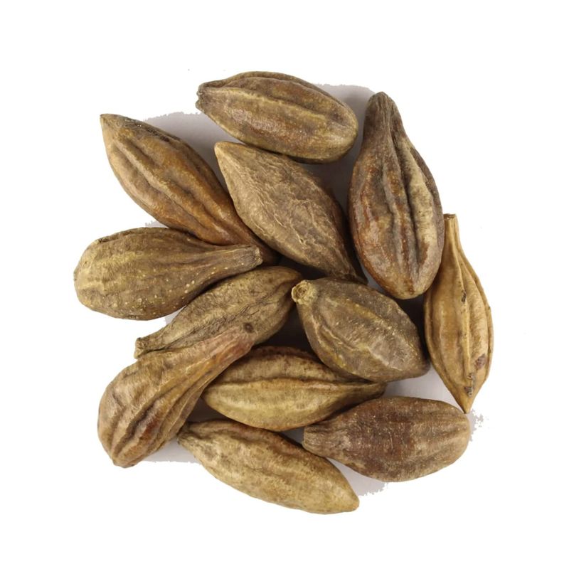Mini Harde Whole Terminalia Chebula Haritaki Black Myrobalan (200g ...