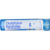 Caulophyllum Thalictroides 6C - Homeopathic Medicine for Menstrual Cramps (80 Pellets)
