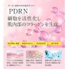 <<>>30      400 PDRN    6ml RepitSerum | NINETAILS