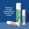FixMySkin 1% Hydrocortisone Healing Lip Balm, Unflavored, 0.15 oz