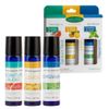 SpaRoom Aromatherapy 100% Pure Essential Oils for Diffusers and Air Freshners, Daily Collection, Set of 3