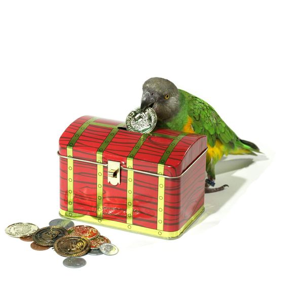 Birdie Treasure Chest - Parrot Bank Trick Prop
