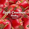 2 PACK Air Wick Essential Oils Mist Diffuser + refills Apple Cinnamon Medley