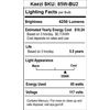 KAEZI 85 Watt Studio Light Bulb 5500K CFL Day Light.