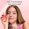 Laneige Bouncy Serum