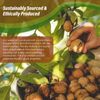 Walnut Oil 16 oz. Cold Pressed REFINED 100% Pure Natural