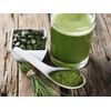 Antioxidant extract - STEM CELL - Blue Green Algae - supplements for women - 2 B