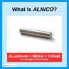 Dowling Magnets - 731013 Alnico Cow Magnet