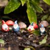 Mini Gnome Plant Pot Pals, Set of 4