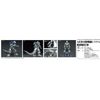 Aoshima Godzilla Against Mechagodzilla: Mechagodzilla MFS-3 "Kiryu Model Kit