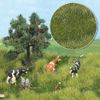 Late Spring/early Summer Grass - Fibre mat 297x210mm