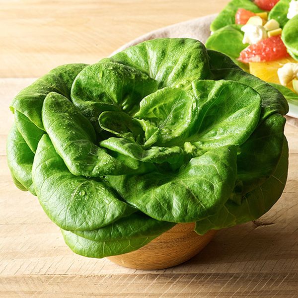 1 Farm8 Domestic Non-Pesticide Butterhead Lettuce