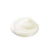 Amritara Veggie Garden Real Soap Shampoo & Moist Conditioner Trial Set, 1.7 fl oz (50 ml) Each